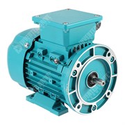 Photo of Brook Crompton Series 10 IE2 0.12kW Three Phase Motor 230V/400V 2 Pole 56 Frame B35