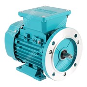Photo of Brook Crompton Series 10 IE2 0.25kW Three Phase Motor 230V/400V 2 Pole 63 Frame B35