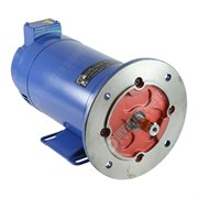Photo of MP80115DH 0.55kW (0.75HP) x 2000RPM DC Motor 180V Foot/71D-14 Flange IP22