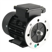 Photo of TEC - 230V Single Phase Motor 0.09kW (0.12HP) Cap Run 2P 56F Foot/Flange