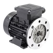 Photo of TEC IE2 0.25kW Three Phase Aluminium  Motor 230V/400V 2 Pole 63 Frame B35