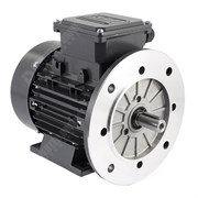 Photo of TEC IE2 0.55kW Three Phase Aluminium  Motor 230V/400V 4 Pole 80 Frame B35