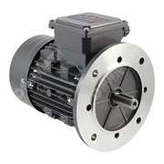 Photo of TEC IE2 0.55kW Three Phase Aluminium  Motor 230V/400V 4 Pole 80 Frame B5