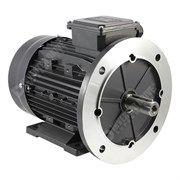 Photo of TEC IE2 3kW Aluminium Three Phase Motor 230V/400V 4 Pole 100L Frame B35