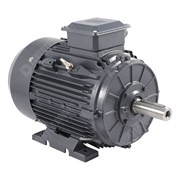 Photo of TEC IE3 Cast Iron 15kW Three Phase Motor 400V/690V 2 Pole 160M Frame B3