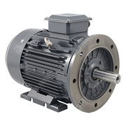 Photo of TEC IE3 Cast Iron 15kW Three Phase Motor 400V/690V 2 Pole 160M Frame B35