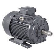 Photo of TEC IE3 30kW Cast Iron 180L 4 Pole 400V Vector AC Motor B3 Foot Mount