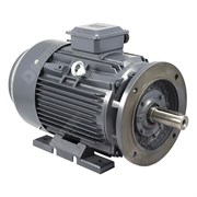Photo of TEC IE3 Cast Iron 22kW Three Phase Motor 400V/690V 4 Pole 180L Frame B35