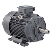 Photo of TEC IE3 Cast Iron 22kW Three Phase Motor 400V/690V 2 Pole 180M Frame B3