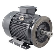Photo of TEC IE3 Cast Iron 22kW Three Phase Motor 400V/690V 2 Pole 180M Frame B35