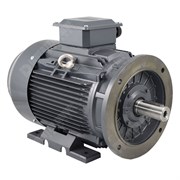 Photo of TEC IE3 Cast Iron 37kW Three Phase Motor 400V/690V 2 Pole 200L Frame B35