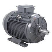 Photo of TEC IE3 Cast Iron 55kW Three Phase Motor 400V/690V 4 Pole 250M Frame B3