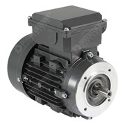 Photo of TEC - 230V Single Phase Motor 0.55kW (0.75HP) Cap Run 2P 71F Face