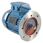 Photo of WEG W22 IE3 Cast Iron 0.55kW Three Phase Motor 230V/400V 4 Pole 80 Frame B5