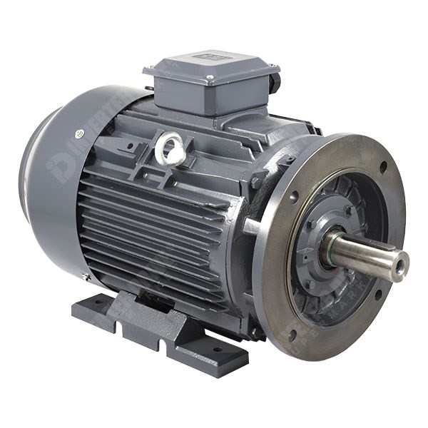 Photo of TEC IE3 Cast Iron 22kW Three Phase Motor 400V/690V 4 Pole 180L Frame B35