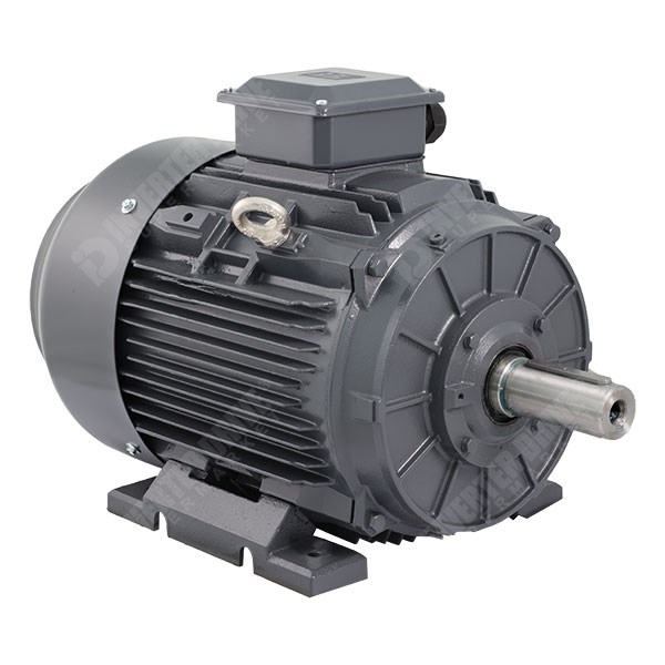 Photo of TEC IE3 Cast Iron 22kW Three Phase Motor 400V/690V 2 Pole 180M Frame B3