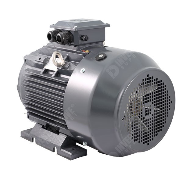 Photo of TEC IE3 Cast Iron 22kW Three Phase Motor 400V/690V 2 Pole 180M Frame B3