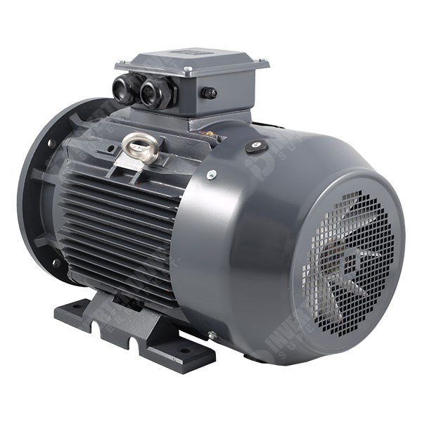 Photo of TEC IE3 Cast Iron 37kW Three Phase Motor 400V/690V 2 Pole 200L Frame B35
