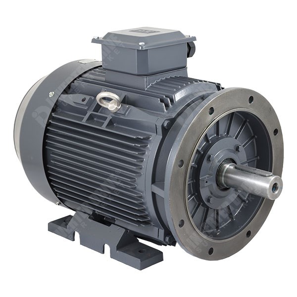 Photo of TEC IE3 Cast Iron 45kW Three Phase Motor 400V/690V 4 Pole 225M Frame B35