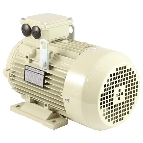 Photo of Teco IE2 3kW (4HP) 2 Pole AC Motor 400V B3 Foot Mount 100 Frame
