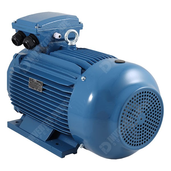 Photo of Universal IE3 18.5kW Cast Iron Three Phase Motor 400V/690V 2 Pole 160L Frame B3