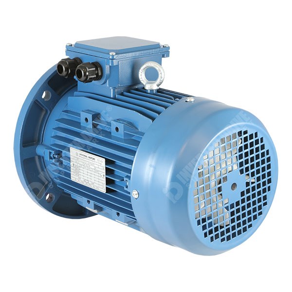 Photo of Universal IE2 3kW Three Phase Motor 230V/400V 2P 100L B5